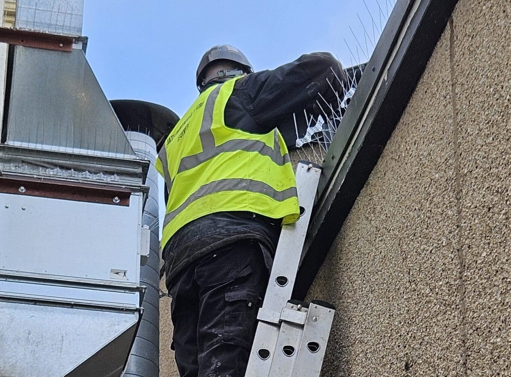 Bruce Environmental Pest control installing bird spikes at commercial travel sector site Inverness