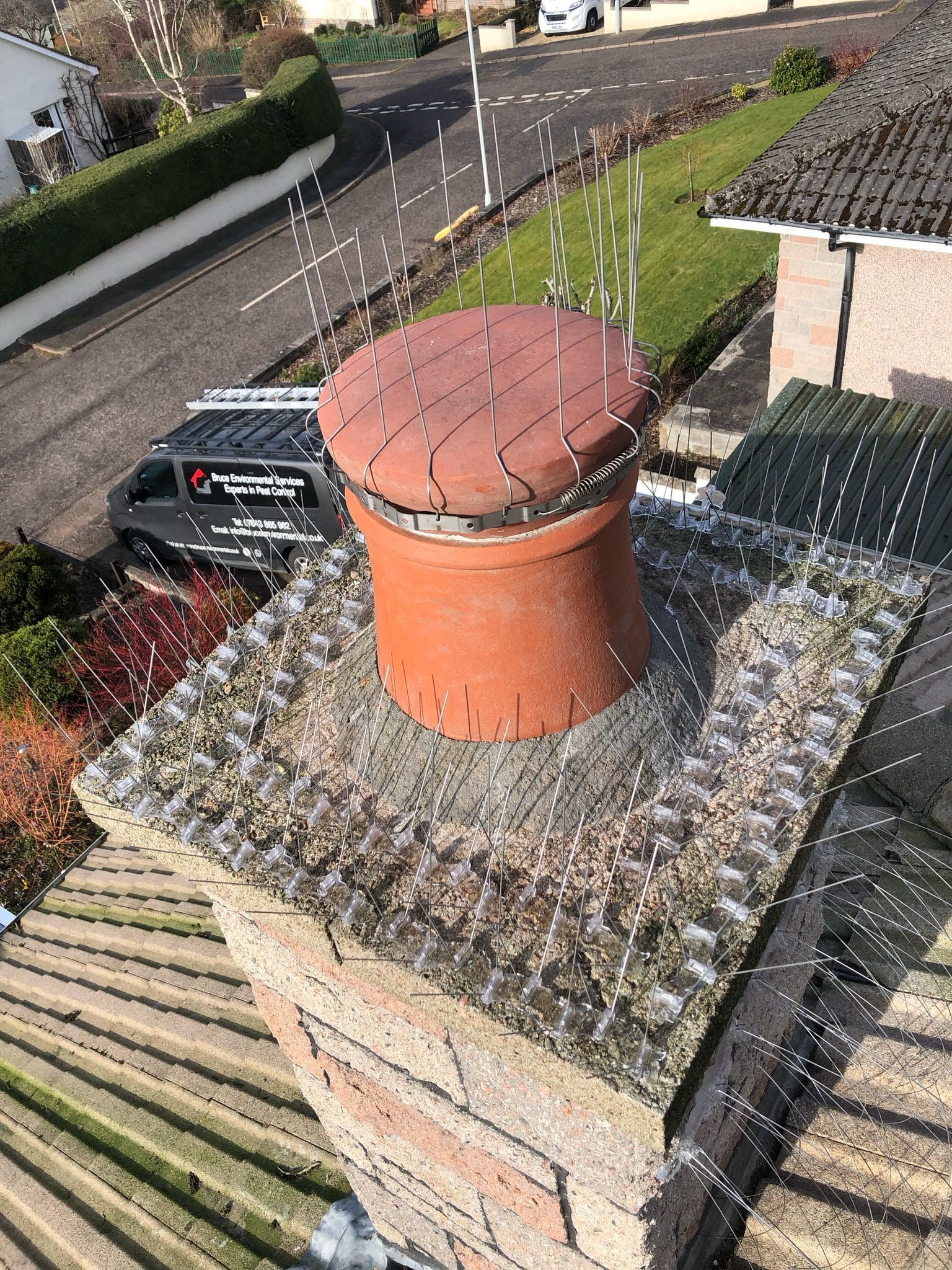 Bruce Environmental Pest control installing bird spikes at domestic property